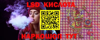 прущие крисы Моздок