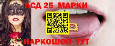 прущие крисы Моздок