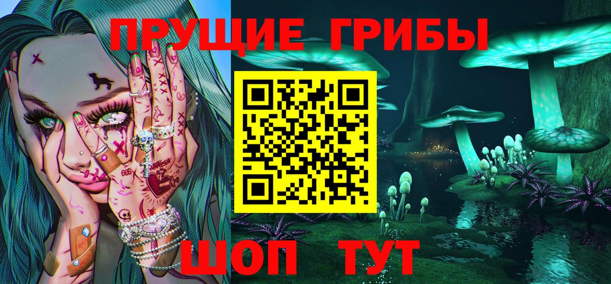 цена наркотик  Галлюциногенные грибы Psilocybine cubensis  Псилоцибиновые грибы ЛСД  Вход с VPN  Элиста 